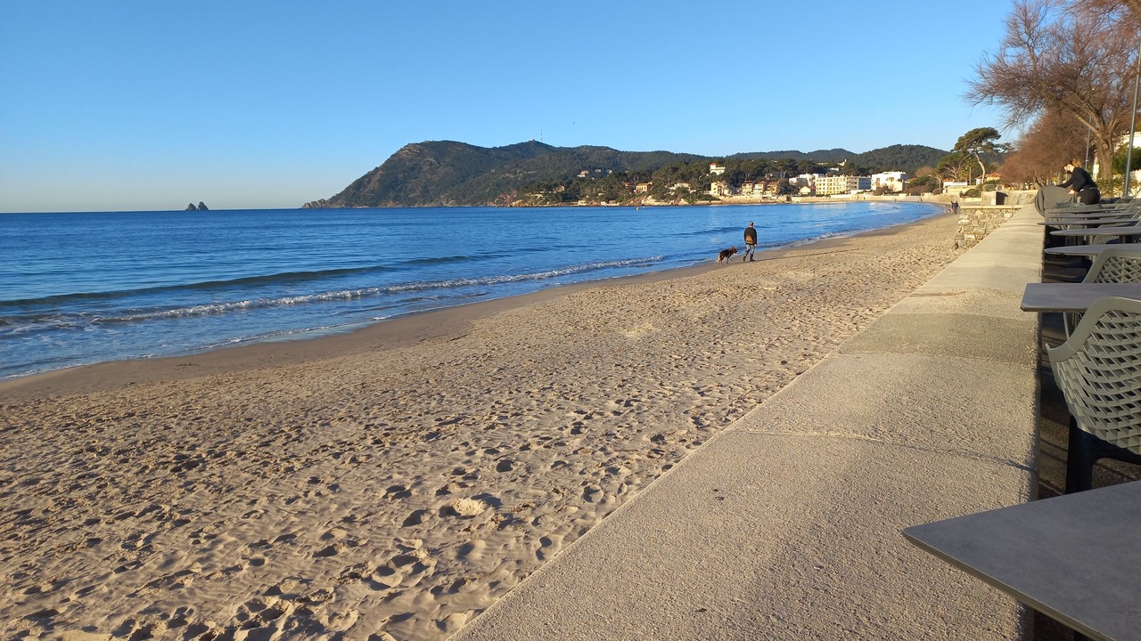 Photo of Others in La Seyne-sur-Mer