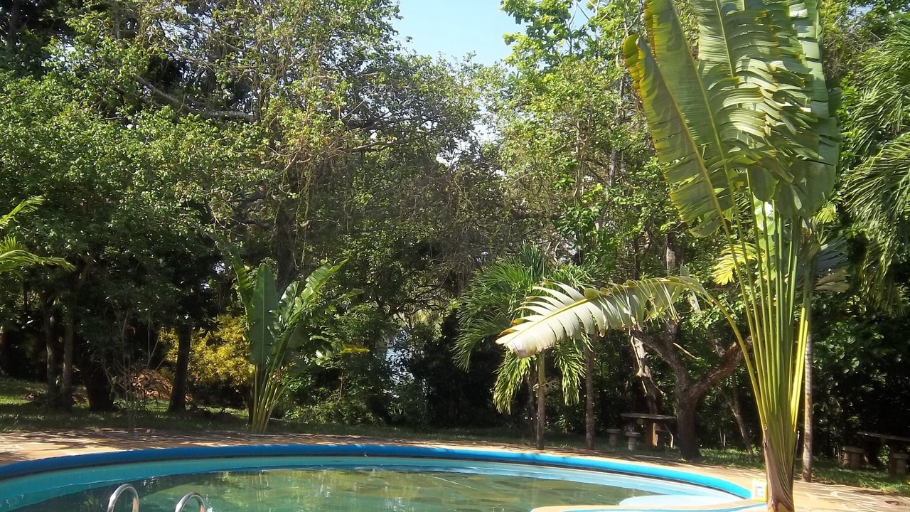Photo of Outdoor in Msambweni
