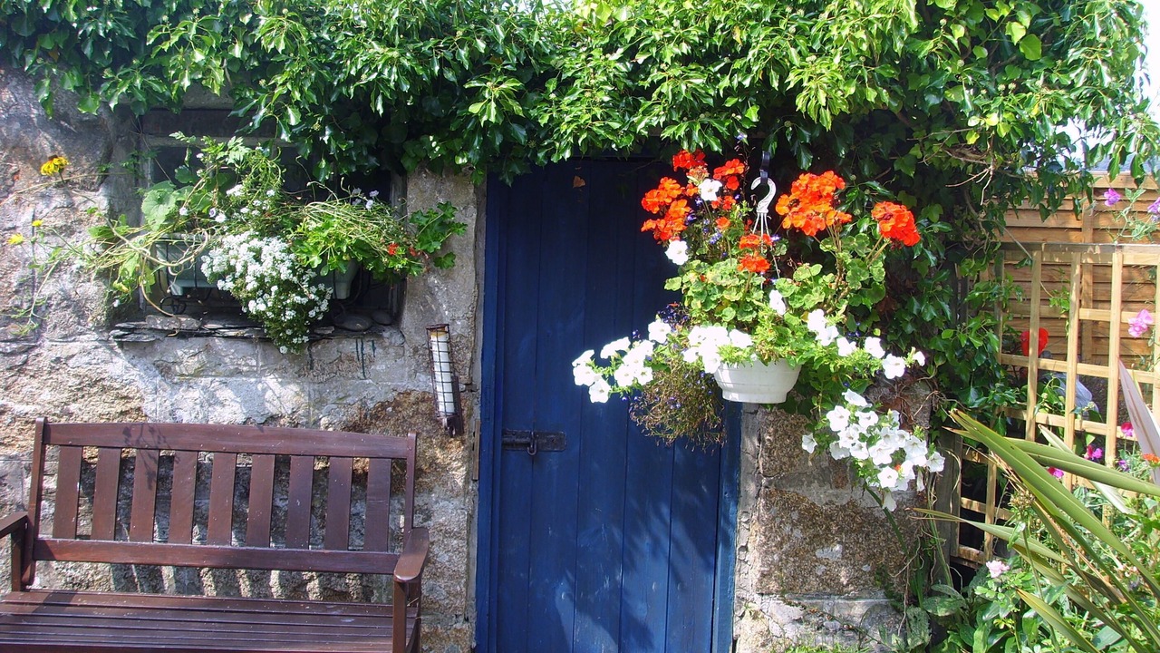 Photo of Outdoor in Lanner