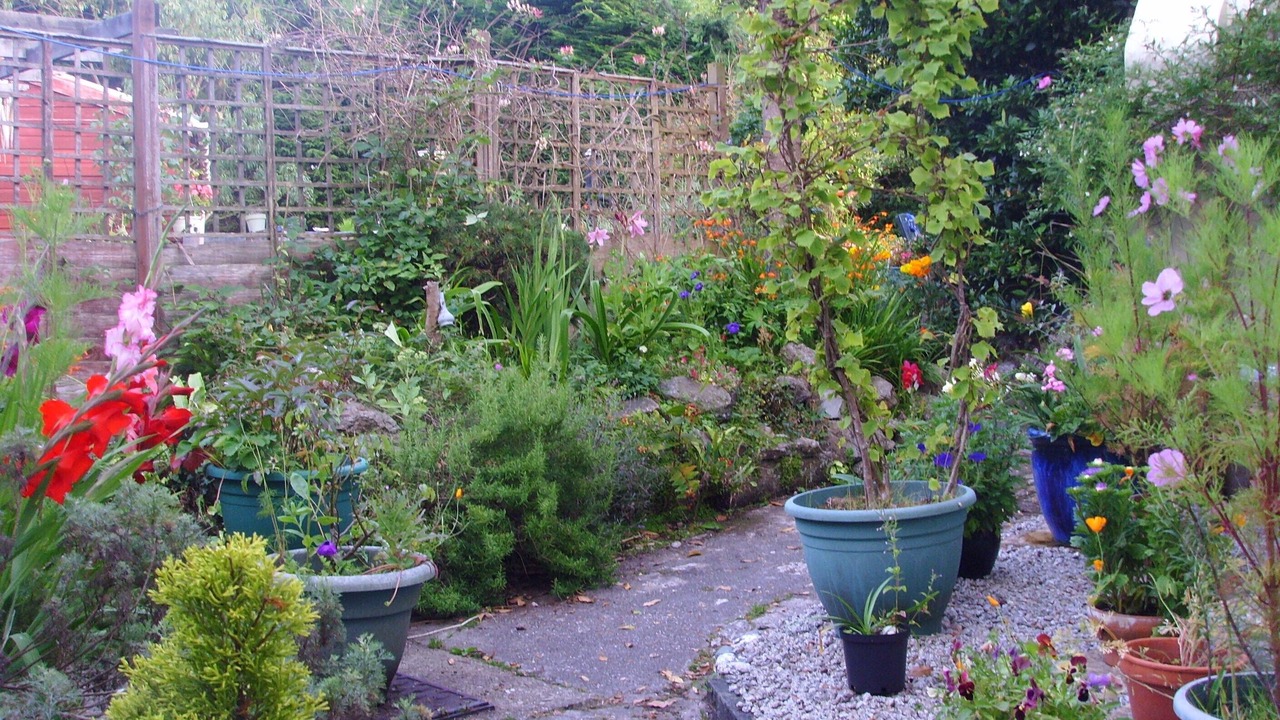 Photo of Outdoor in Lanner