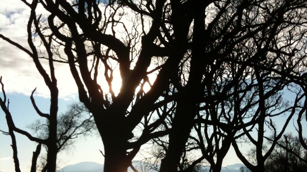 Photo of Outdoor in Rothesay