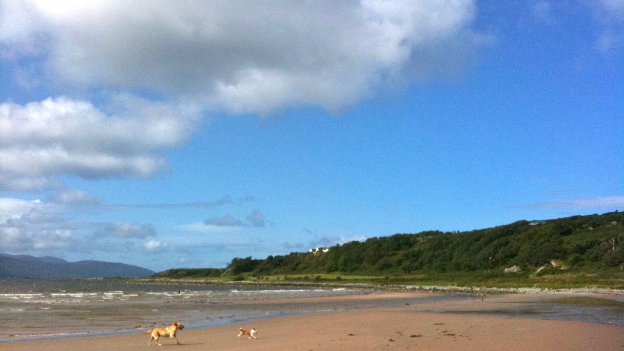 Photo of Others in Rothesay