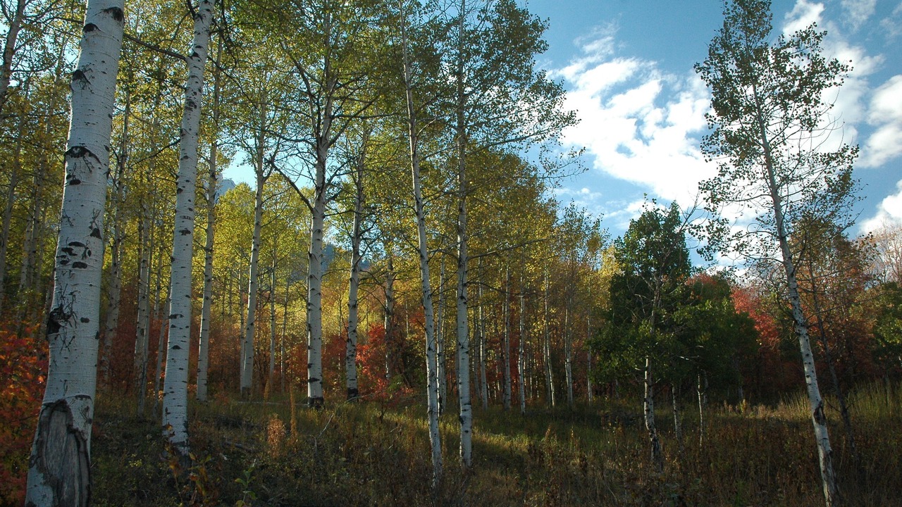 Photo of Others in Sundance