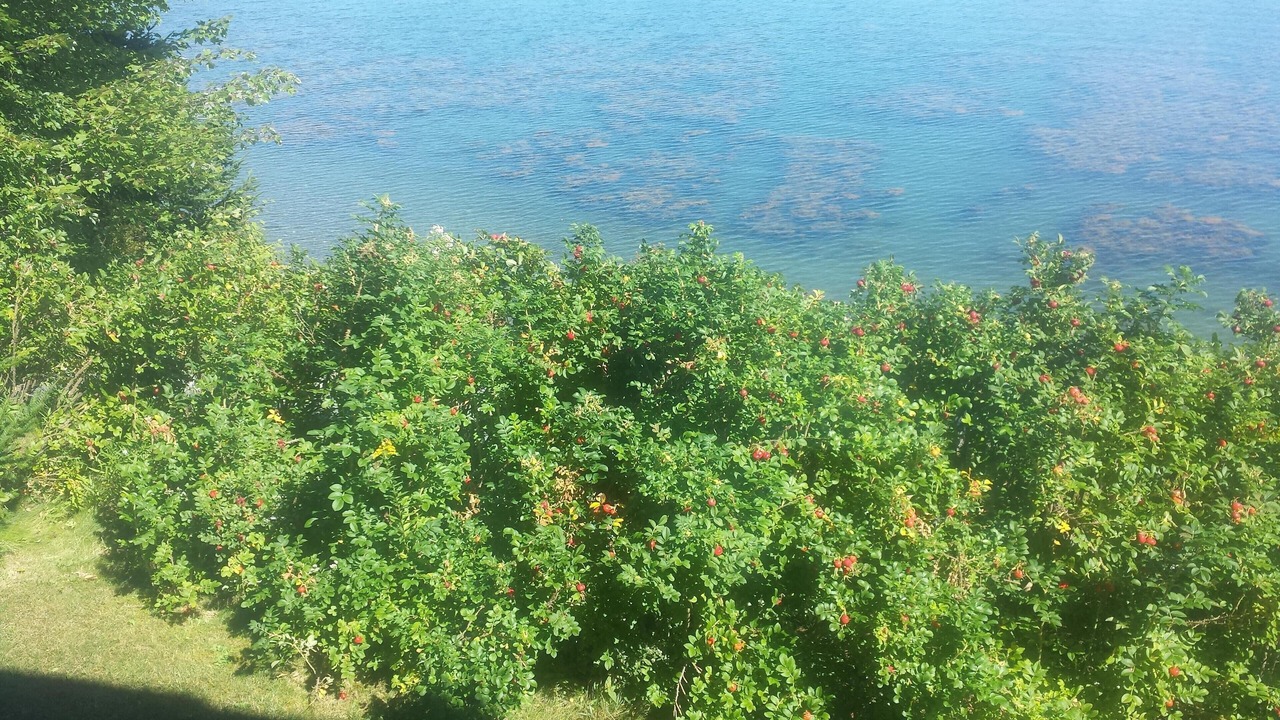 Photo of Outdoor in Hancock Point