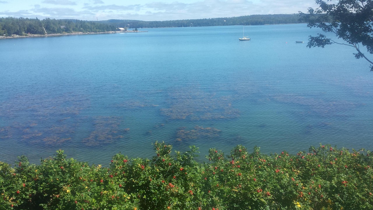 Photo of Others in Hancock Point
