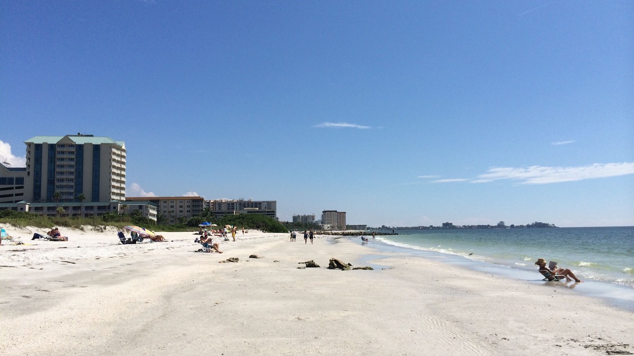 Photo of Others in Sarasota