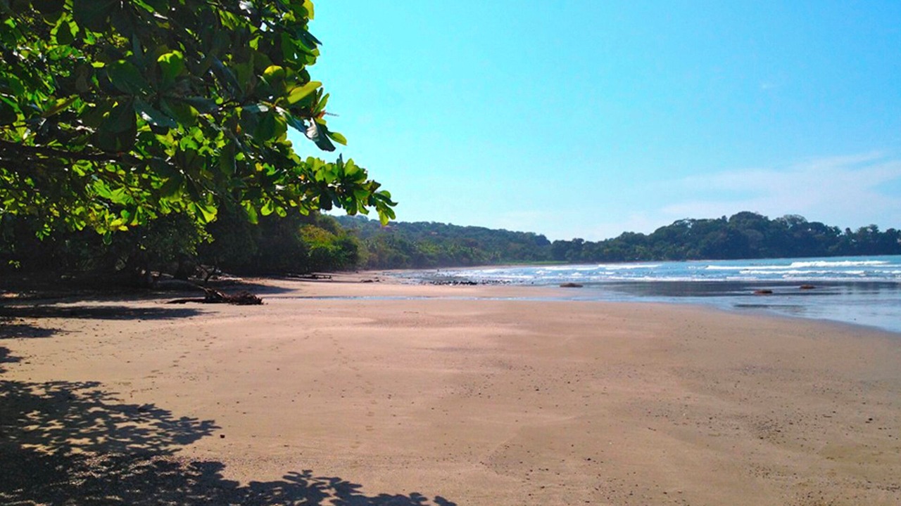 Photo of Others in Uvita