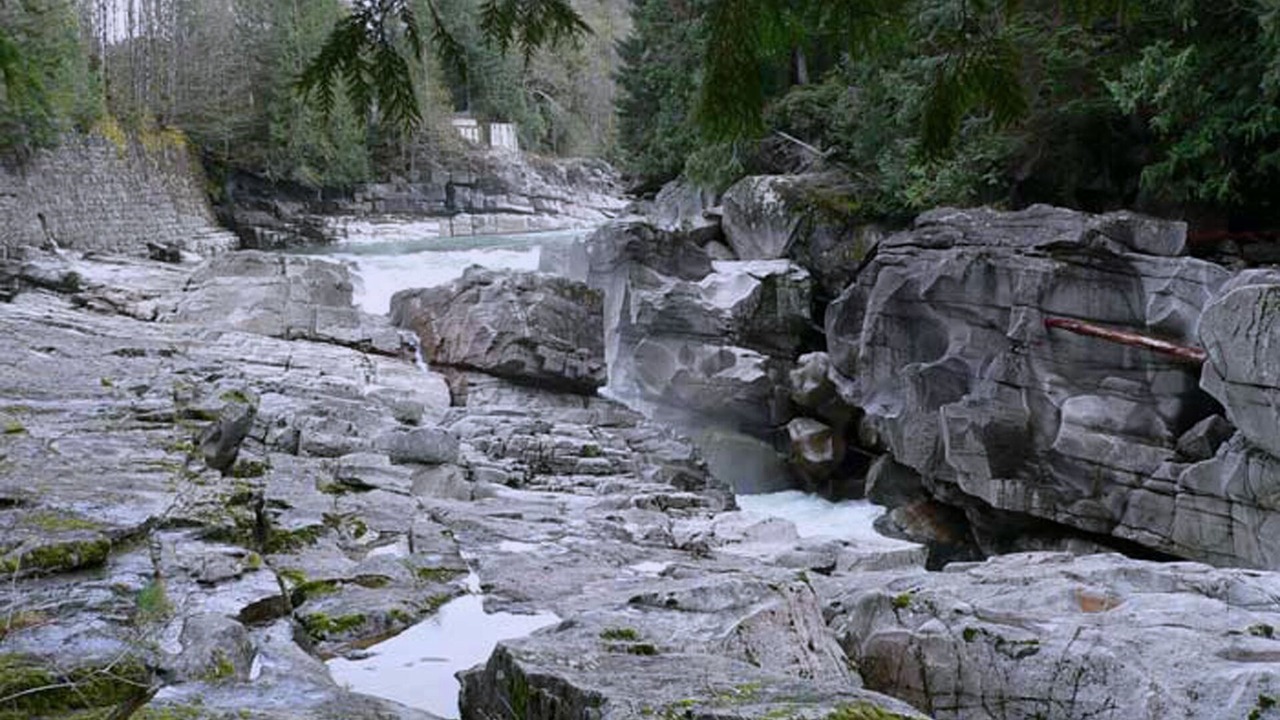 Photo of Others in Gold Bar