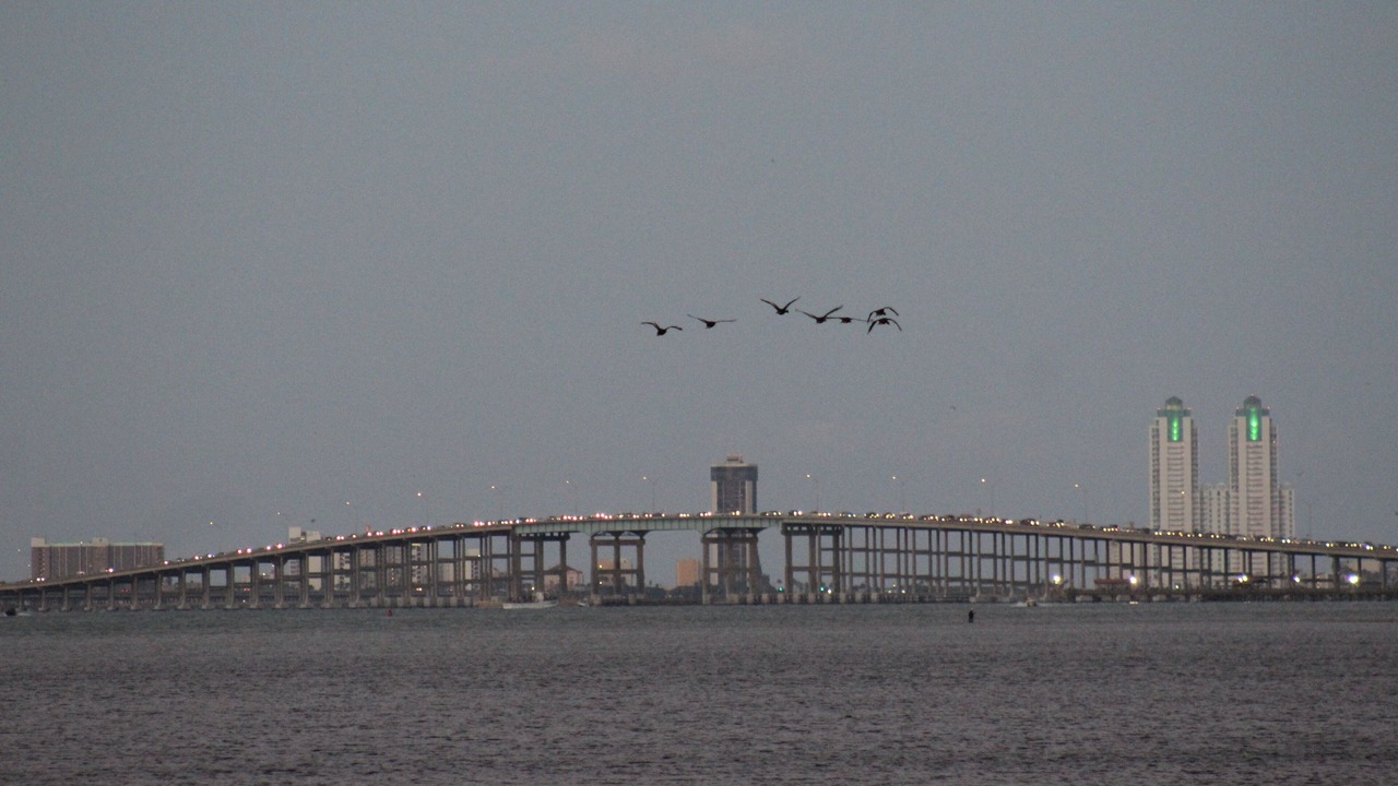 Photo of Others in Port Isabel
