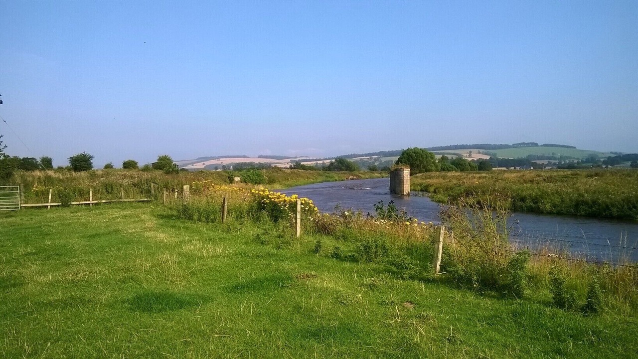 Photo of Others in Kelso