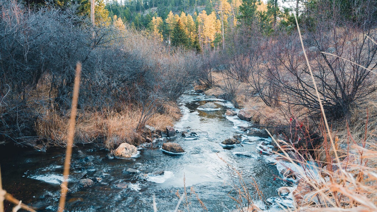 Photo of Others in Hill City