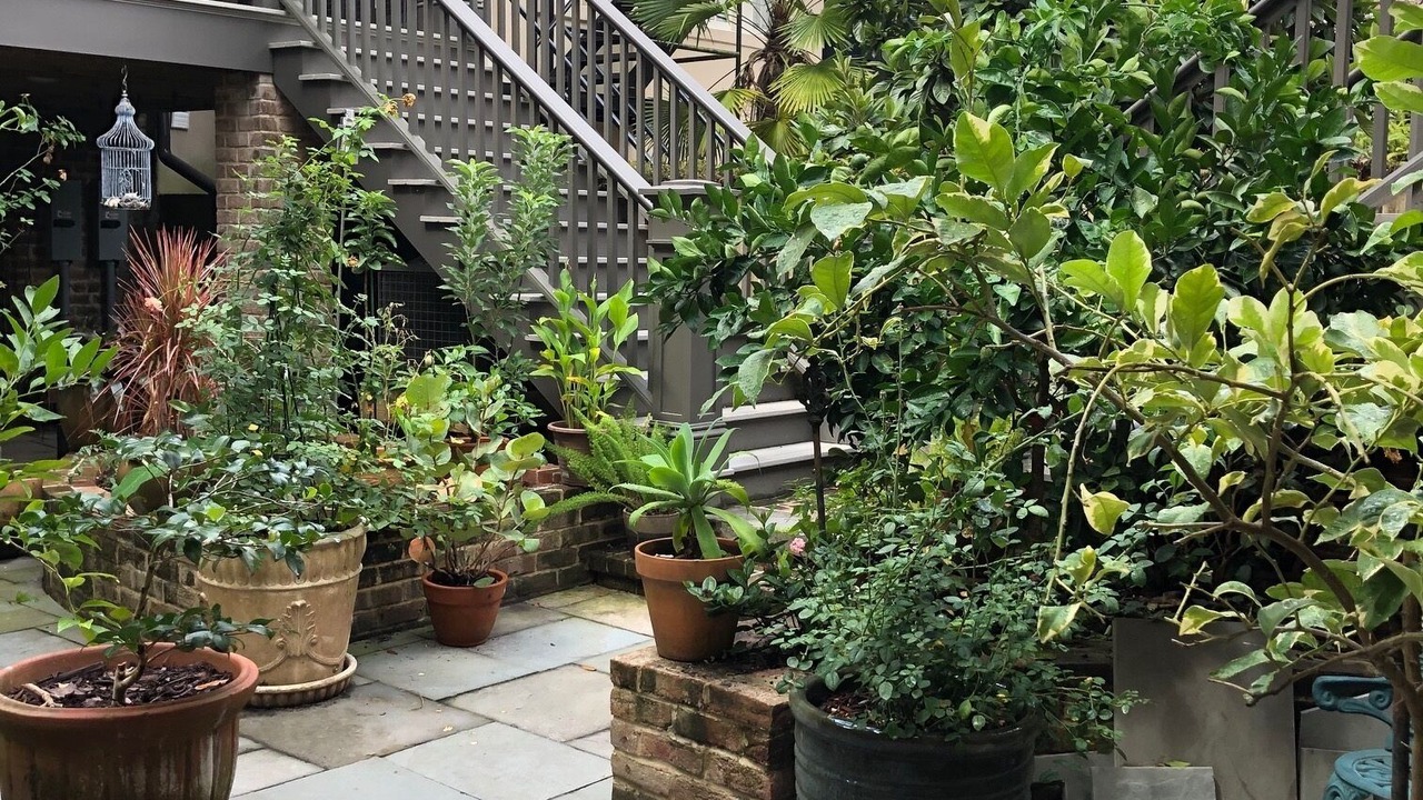 Photo of Outdoor in Historic Downtown Savannah