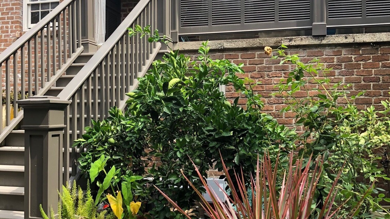 Photo of Outdoor in Historic Downtown Savannah