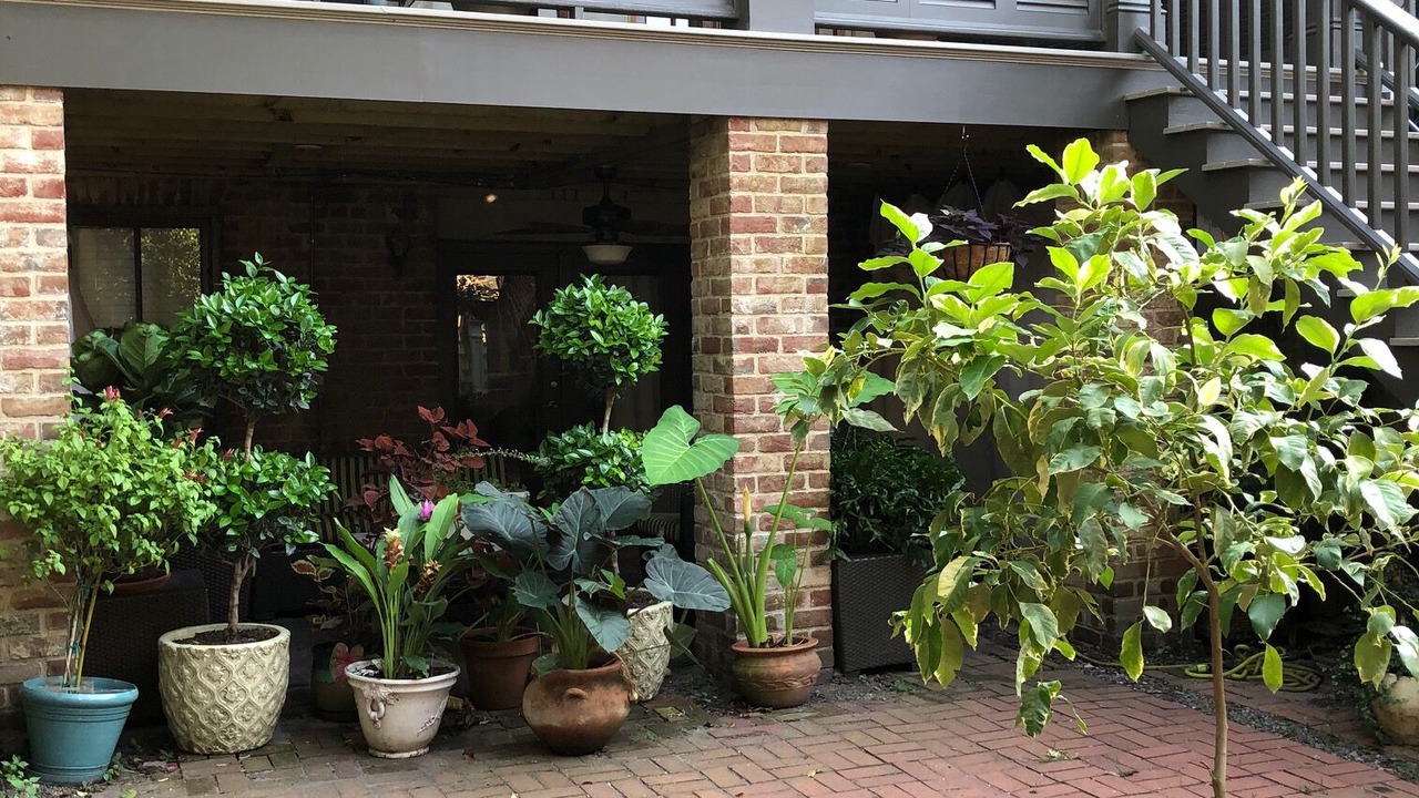 Photo of Outdoor in Historic Downtown Savannah