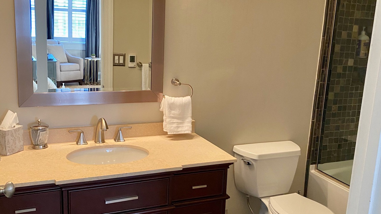 Photo of Bathroom in Greenville Downtown