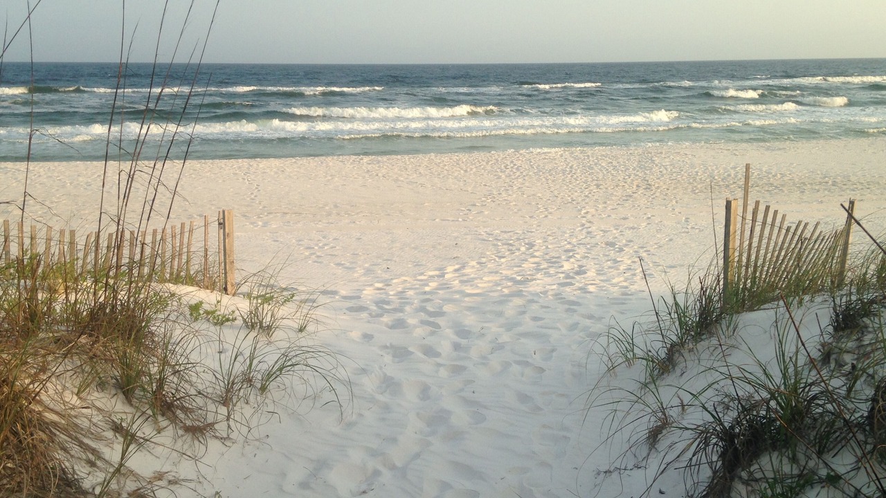 Photo of Others in Pensacola Beach