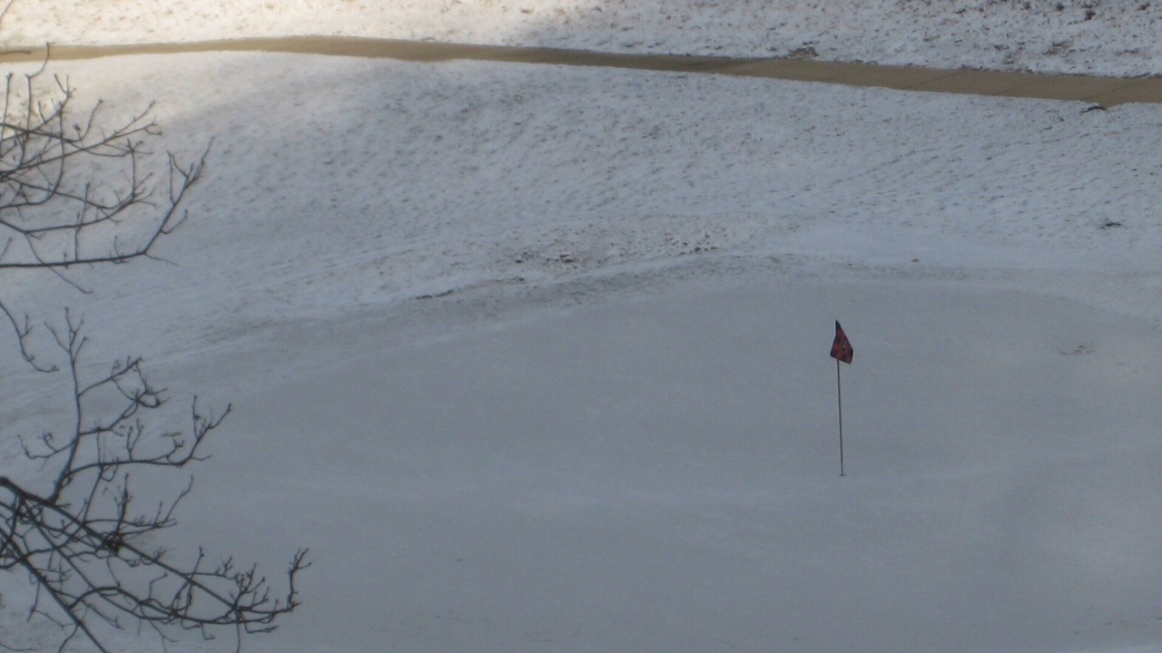 Photo of Others in Qualla