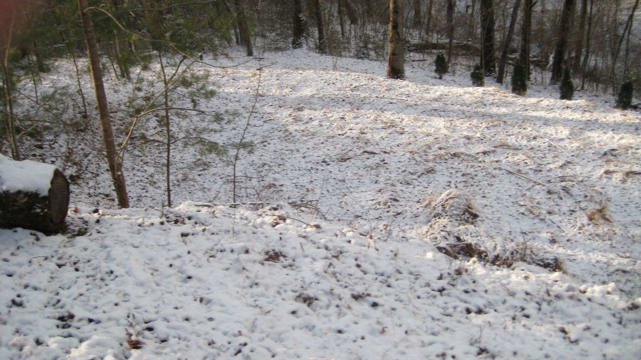 Photo of Others in Qualla