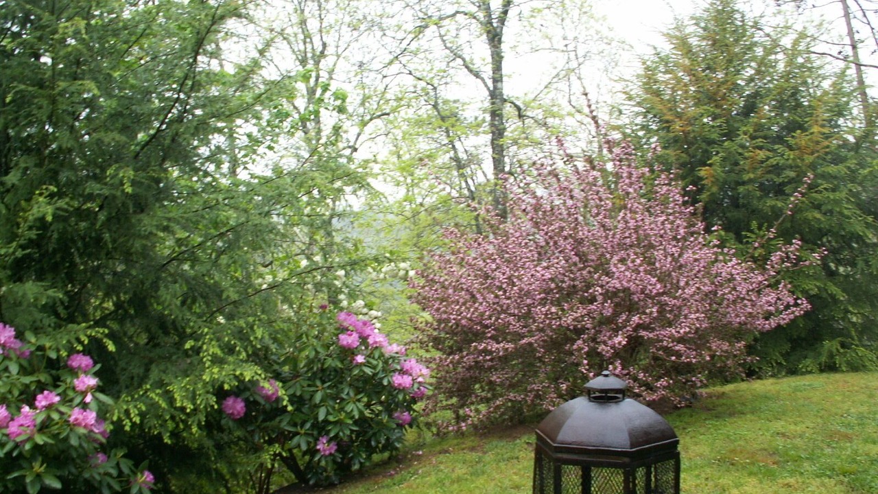 Photo of Outdoor in Qualla