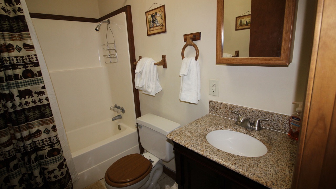 Photo of Bathroom in Qualla