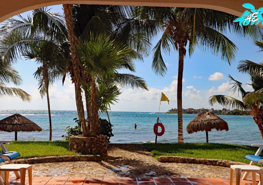 Photo of Others in Akumal