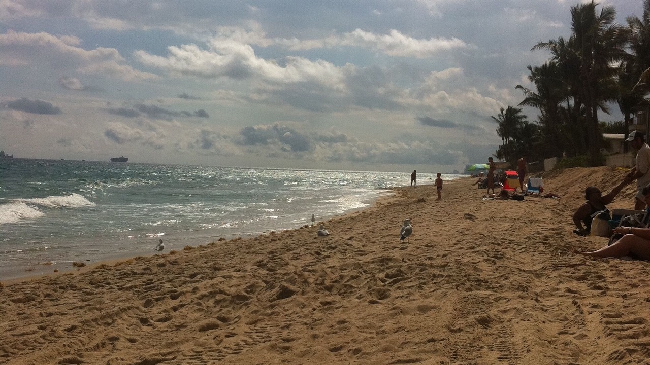 Photo of Others in Coral Shores