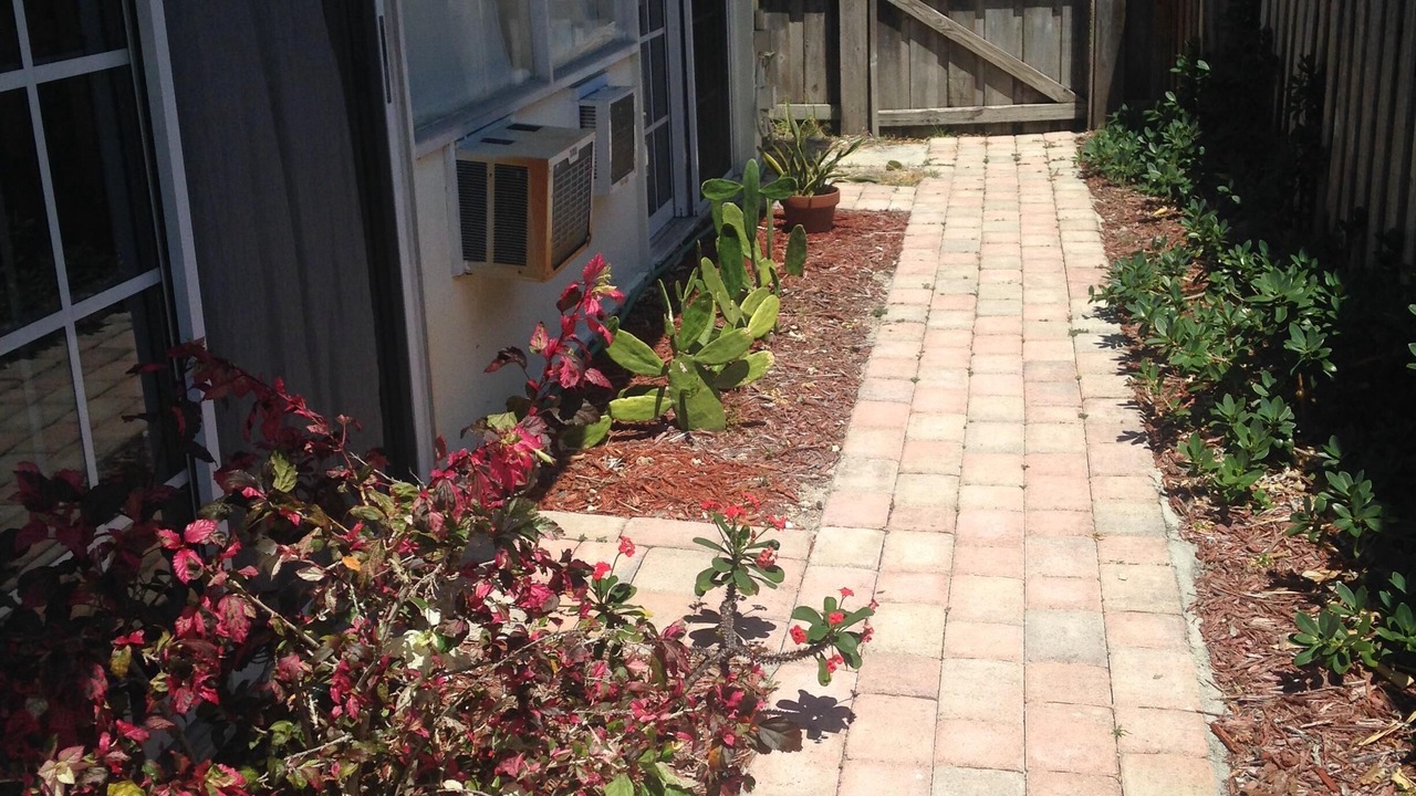 Photo of Others in Coral Shores