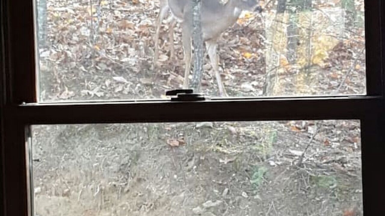 Photo of Others in Rambling Ridge