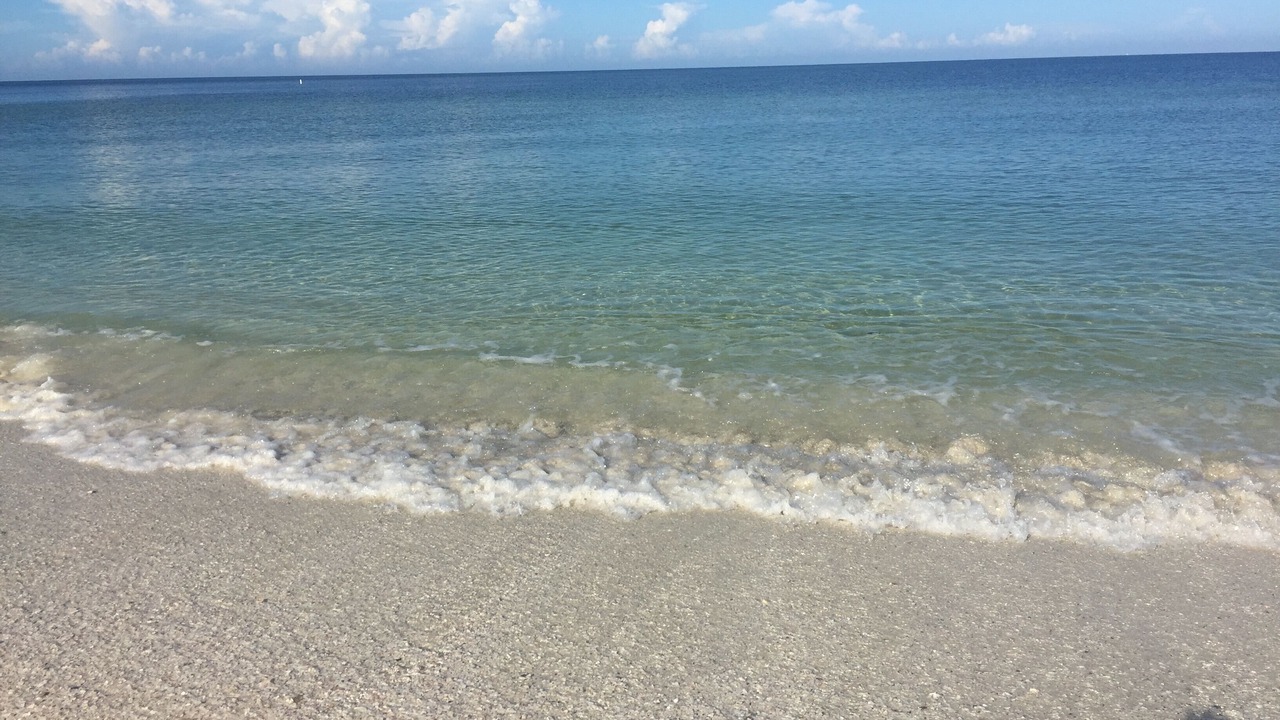Photo of Others in Bonita Springs
