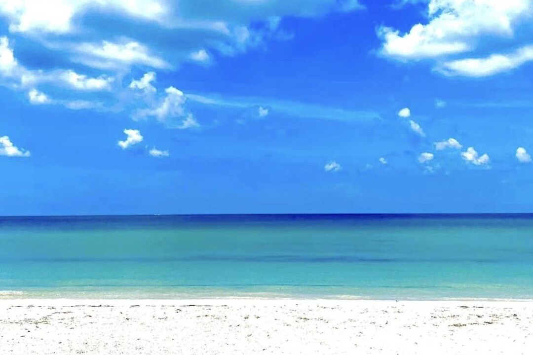 Photo of Others in Bonita Springs