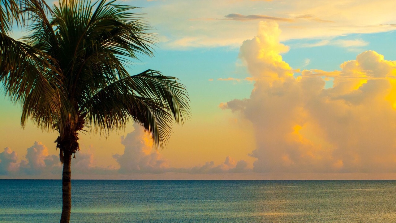 Photo of Others in Bonita Springs
