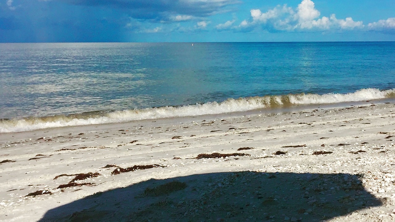 Photo of Others in Bonita Springs
