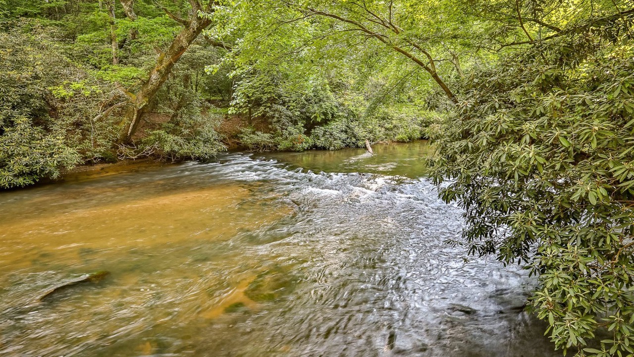Photo of Others in Ellijay