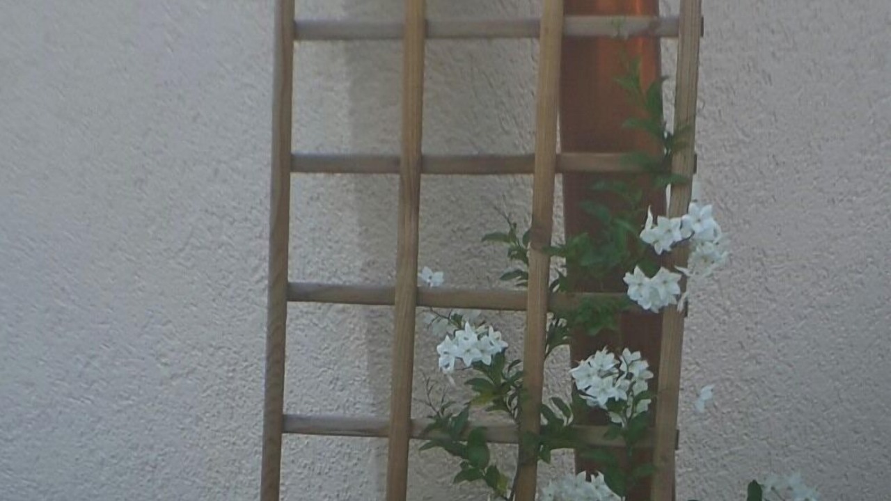 Photo of Outdoor in Durbach