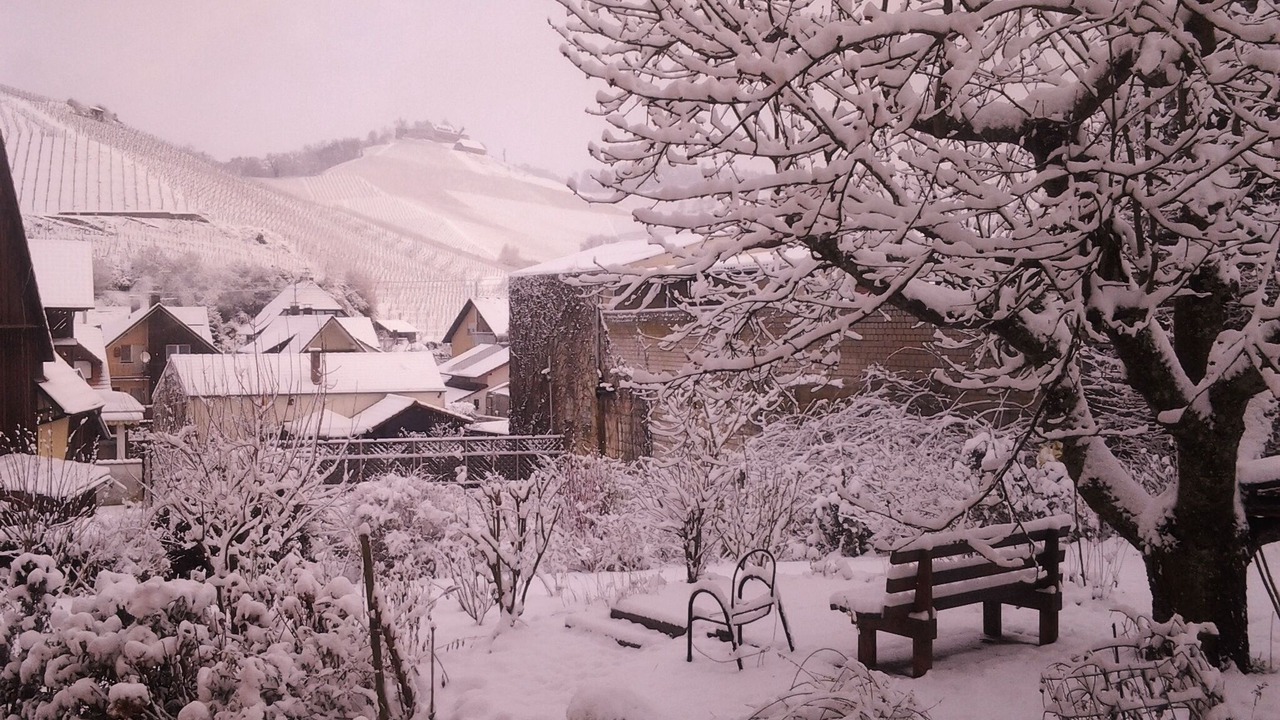Photo of Outdoor in Durbach