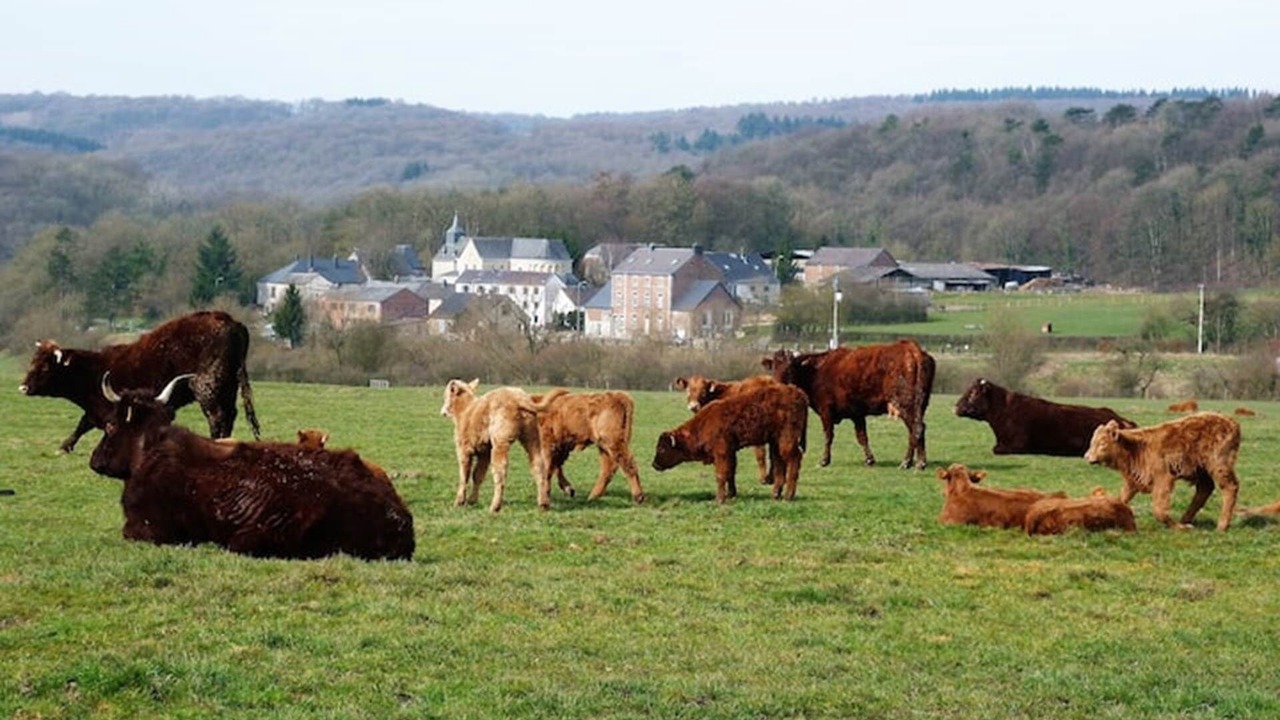 Photo of Others in Xhignesse