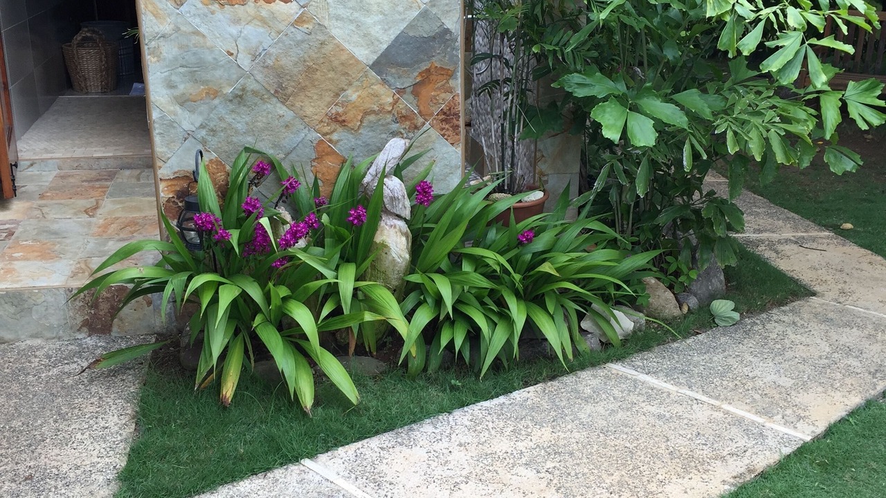 Photo of Outdoor in Rio Bueno