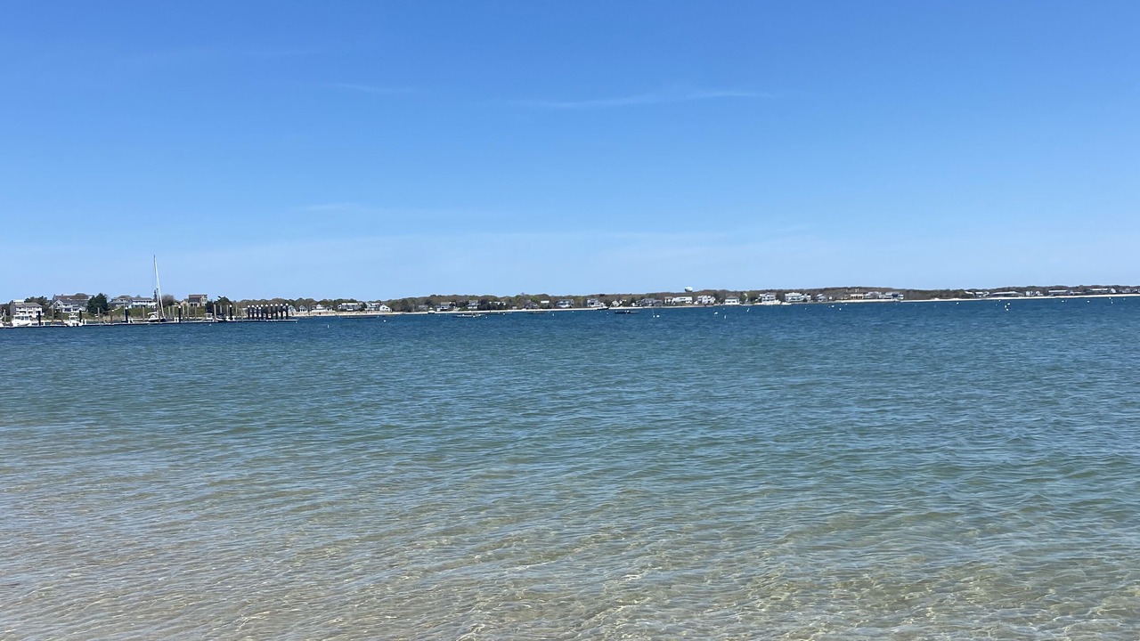 Photo of Others in Hyannis