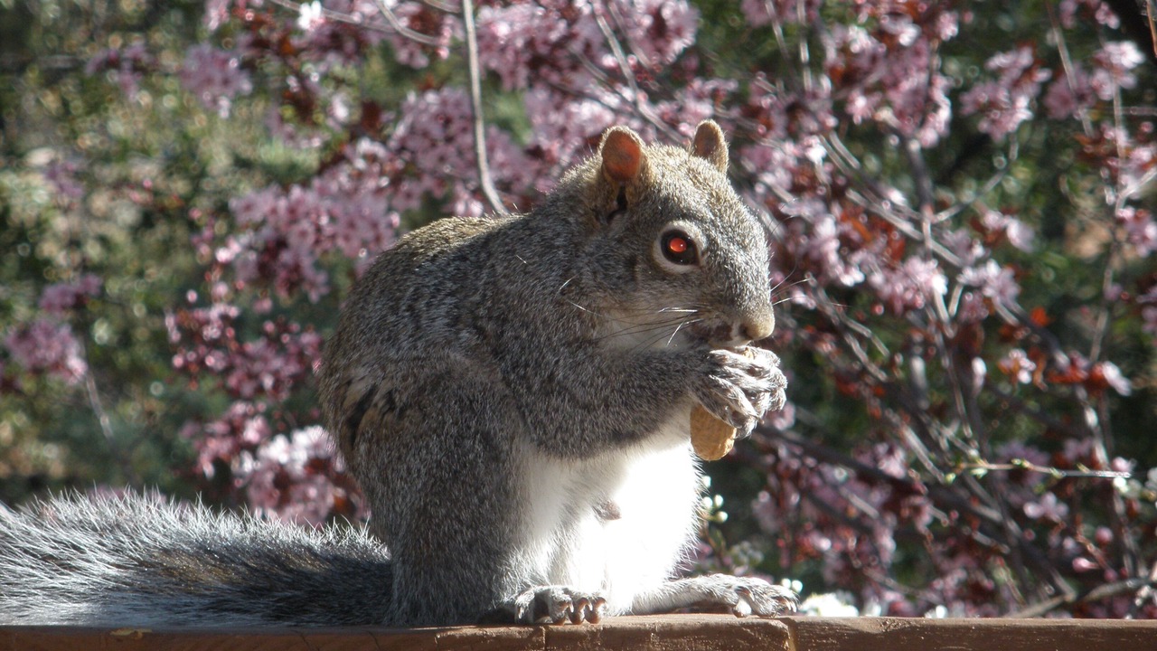 Photo of Others in Pine