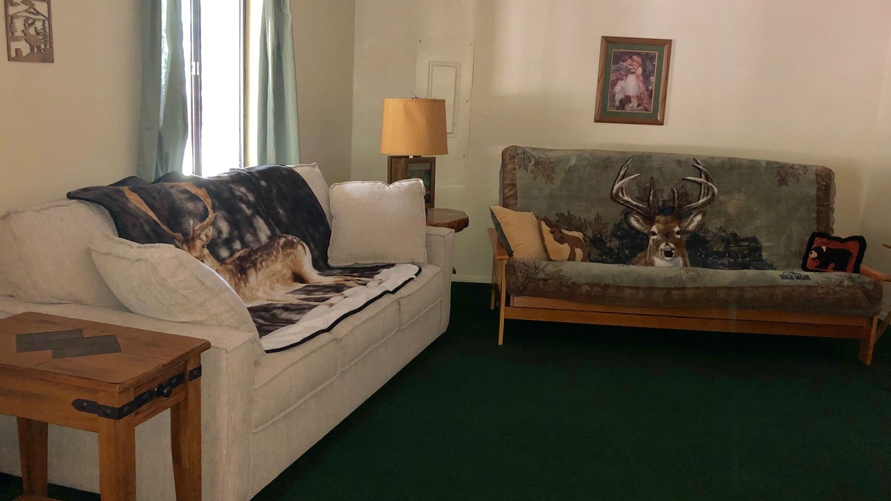 Photo of Bedroom in Pine