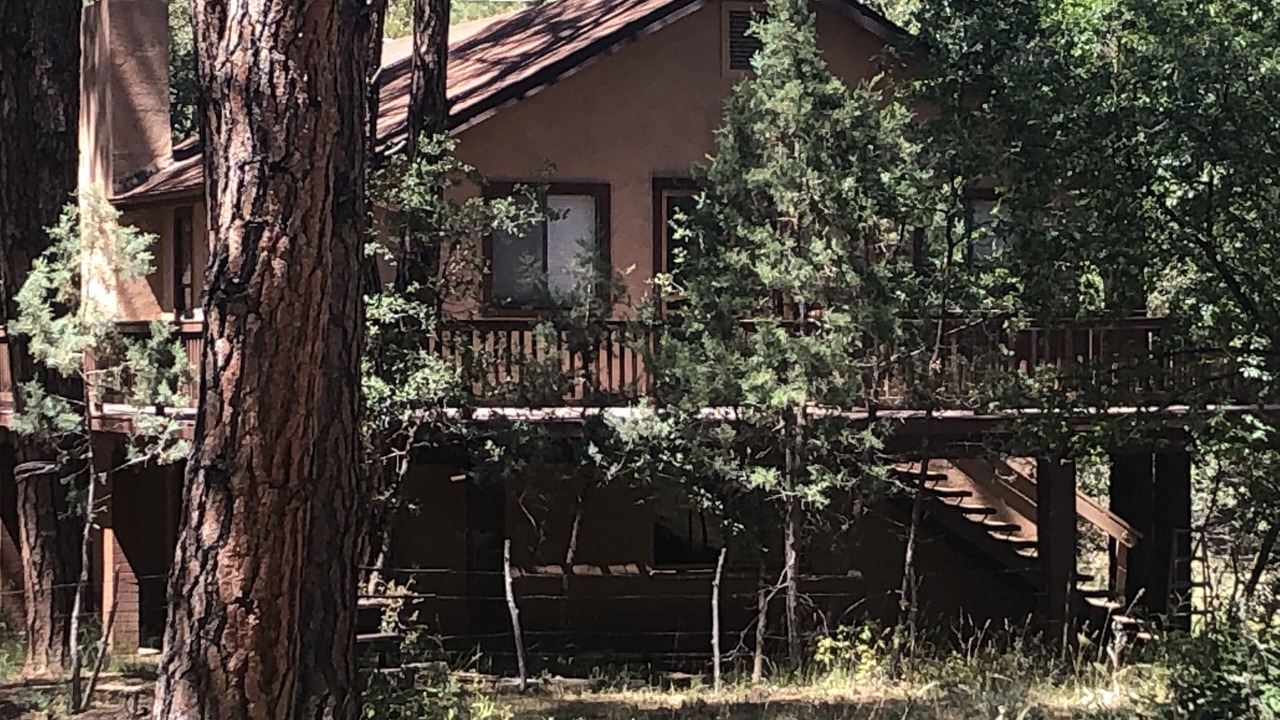 Photo of Others in Pine