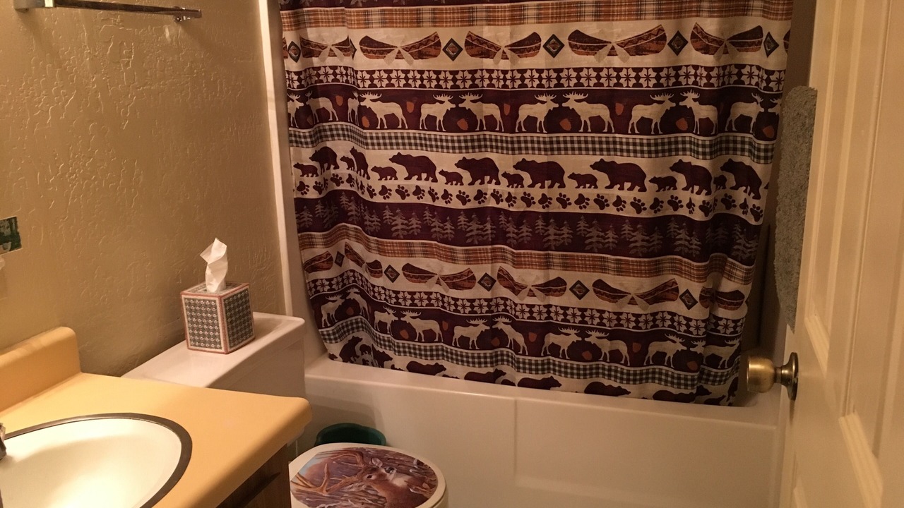 Photo of Bathroom in Pine