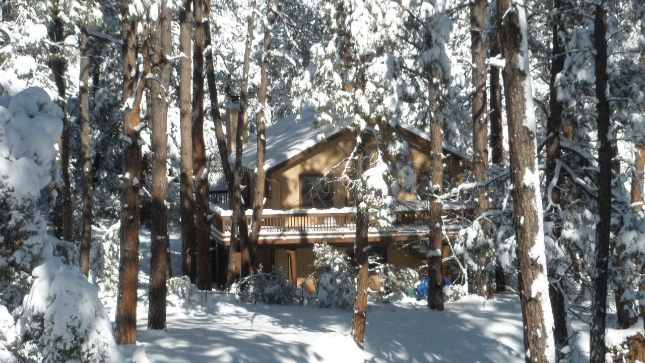 Photo of Others in Pine