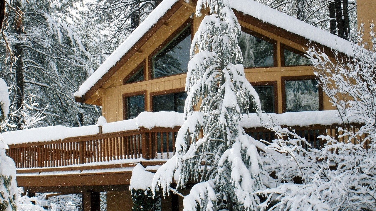 Photo of Others in Pine