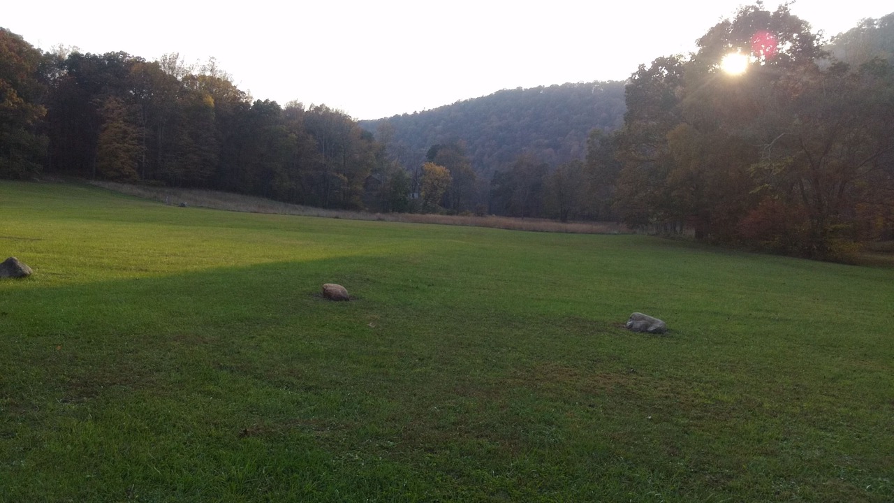 Photo of Others in Great Cacapon
