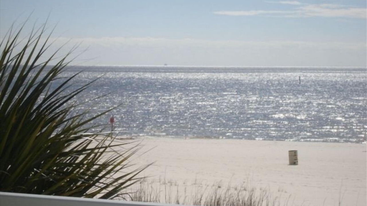 Photo of Outdoor in Biloxi