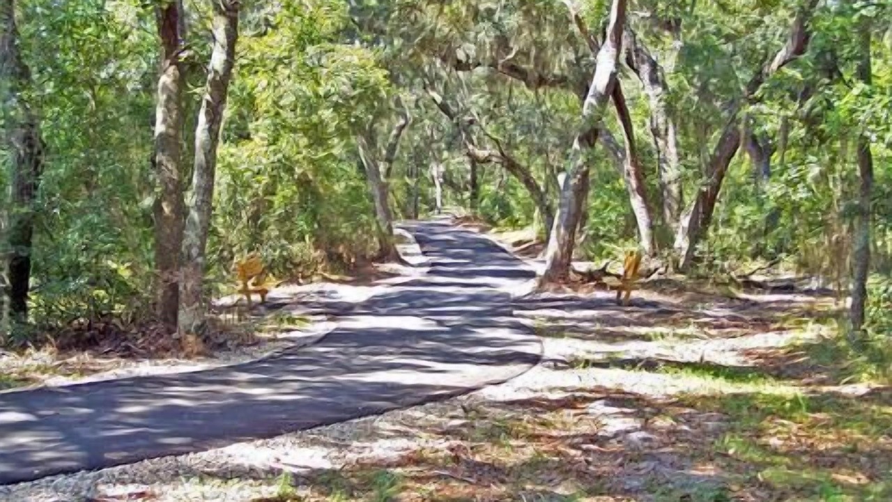Photo of Others in Orange Beach