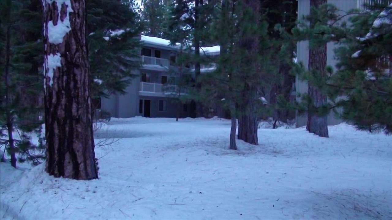 Photo of Others in Incline Village