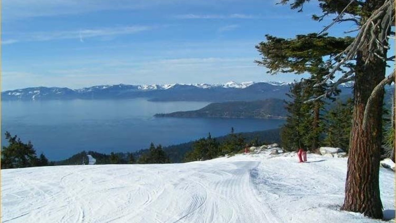 Photo of Others in Incline Village