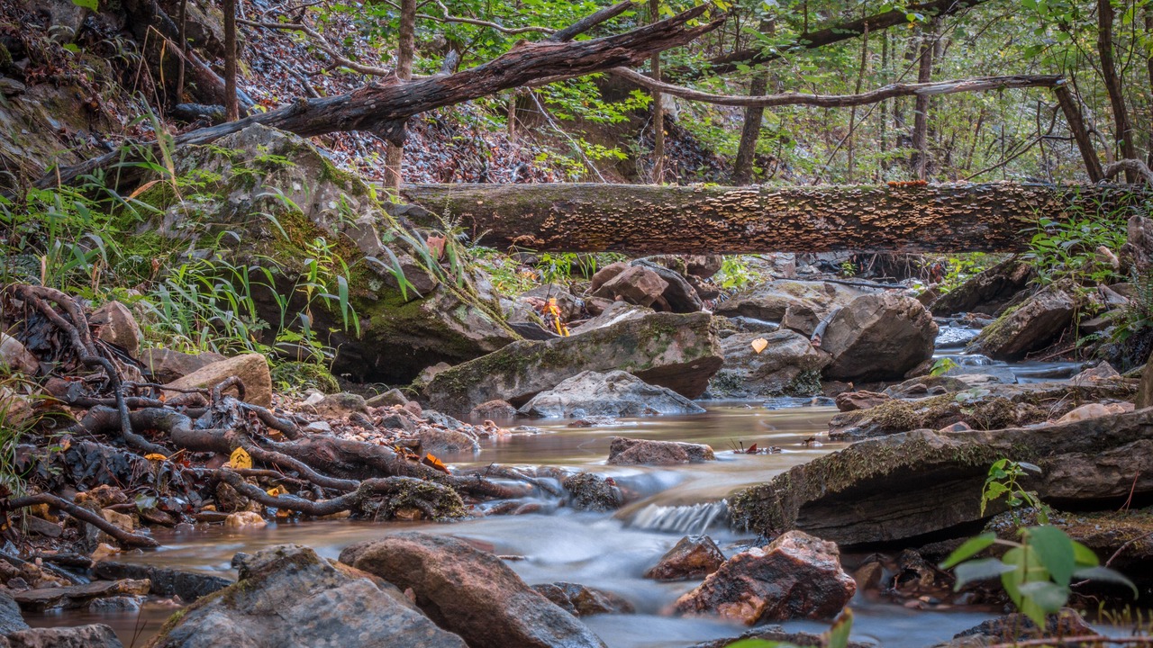 Photo of Outdoor in Broken Bow